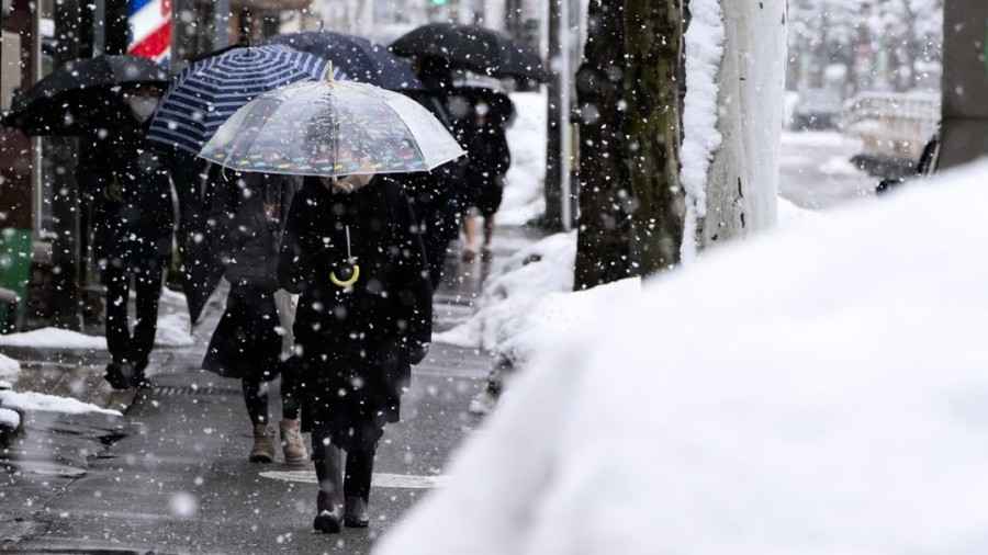 日本青森酸湯積雪逾5米 弘前市160厘米破新高