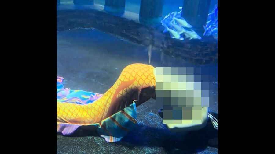 山東「美人魚」表演時暈倒溺水 現場驚險影片曝光