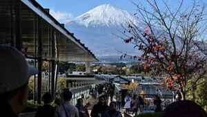 富士山美景被擋 中國男子砍伐毒死鄰居23棵樹