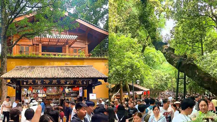 靈隱寺8.5平小賣部 年租金260萬 引發熱議（影片）