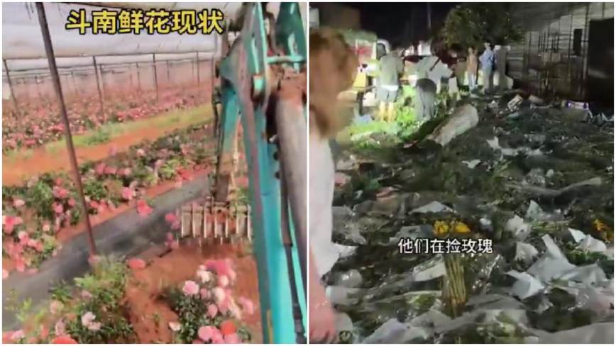 大陸消費降級 「520」鮮花賣不掉 價格崩盤（影片）