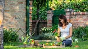 不想做養花殺手? 園藝專家教你避開6常見錯誤