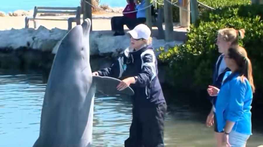 鄭州公園招「摸魚官」月薪3萬 引全網熱議