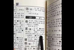 中國字典驚見「孩子小成累贅」例句 網上熱議