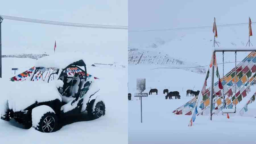 中國青海現7月飛雪 覆蓋大草原（影片）