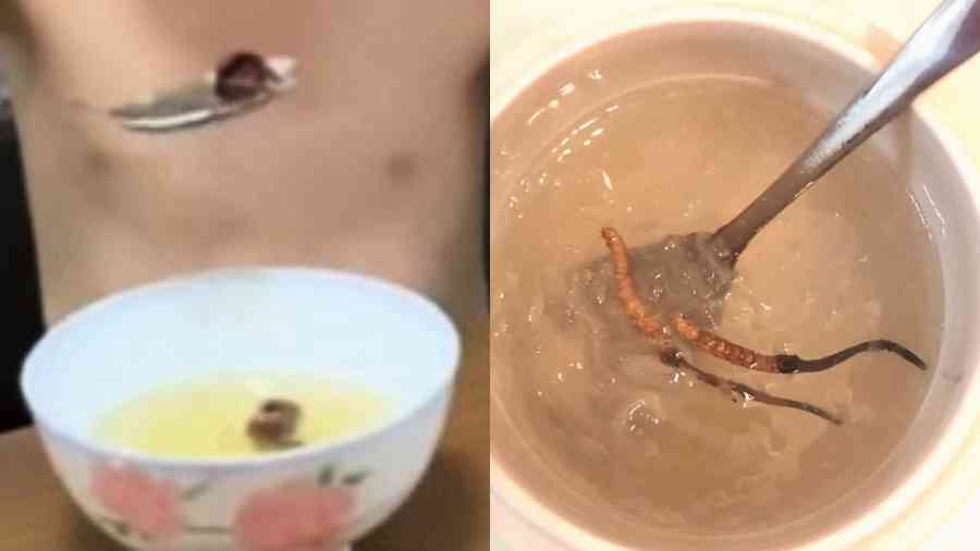 河南童被硬餵燕窩蟲草 2年瘦成皮包骨