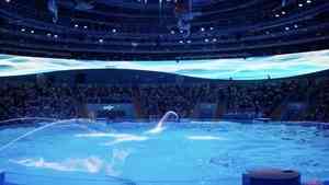 獸醫爆鄭州海洋館長期給海豚用鎮靜藥 知情者:成本低