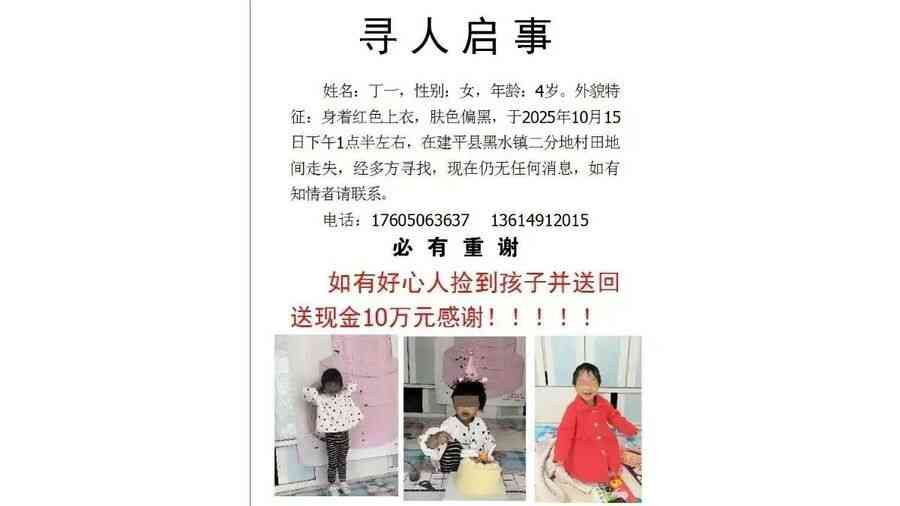 遼寧4歲女童車內睡覺蹊蹺失蹤 逾千人尋人未果