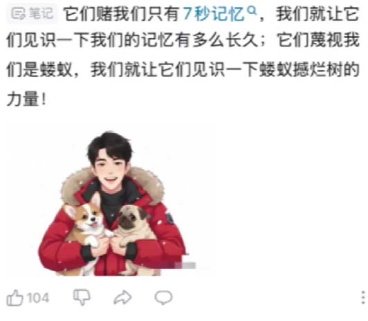 大陸網民留言。(網頁截圖)