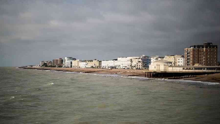 英國海灘驚現「巨型海怪」體長達2.75米