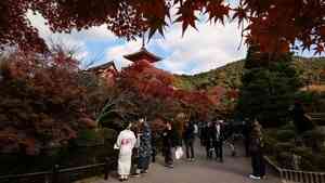 日本商家：中國遊客少了 營業額卻沒少（影片）