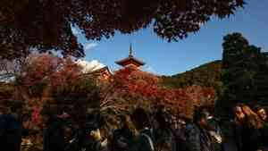 中共禁日旅遊逾半月 日本旅遊業反應冷淡