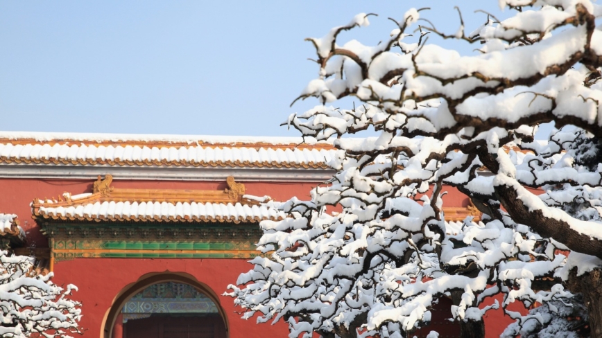 今年冬至恰逢天赦日 命理師警告：恐收走一波人（影片）