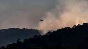 澳洲猛烈野火肆虐 消防員遭倒樹擊中不幸身亡