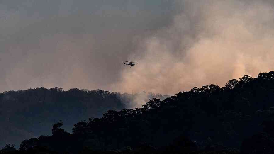 澳洲猛烈野火肆虐 消防員遭倒樹擊中不幸身亡