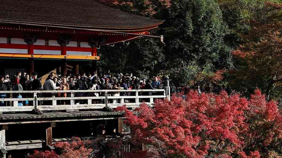 「熊」登日本年度漢字 反映熊害死傷高
