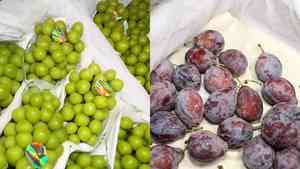 12月份八種大陸水果需注意食用 中國採購商透露內情