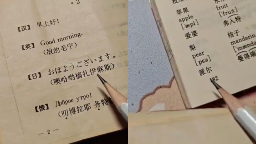 中國爸爸用「武功秘籍」教女兒英語 引發搶購潮（影片）