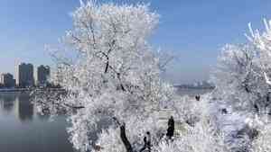 小寒養生三大秘訣必學 既簡單又有效!