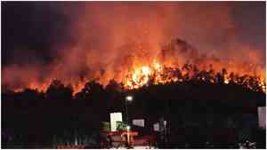 廣東深圳突發山火 燃燒近六小時 畫面曝光(影片)