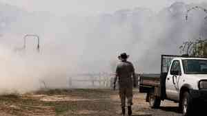 澳洲叢林大火延燒逾30萬公頃 維州宣布災難狀態