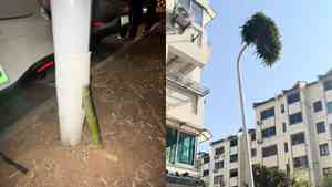 浙江驚現「竹堅強」 一根竹子穿透路燈生長（影片）