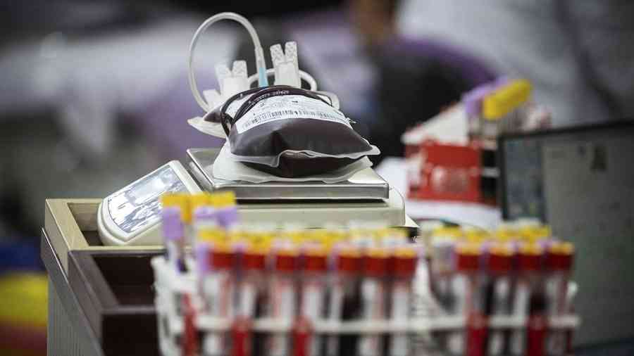 山東發現1例稀有鑽石血 比熊貓血更罕見