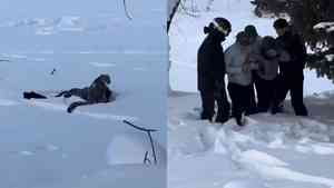 遊客在新疆可可托海遭雪豹咬傷