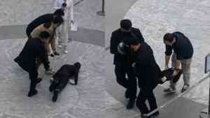 小鵬機械人深圳商場首秀翻車 影片熱傳（影片）