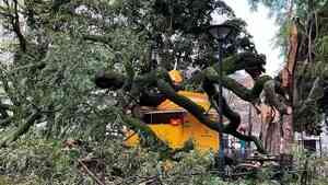 風暴克莉絲汀橫掃葡萄牙 「災難狀態」再延長1周