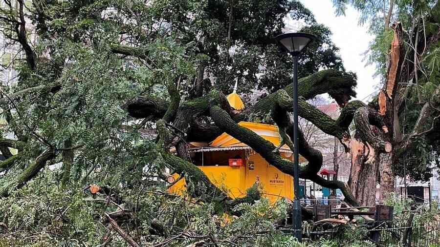 風暴克莉絲汀橫掃葡萄牙 「災難狀態」再延長1周
