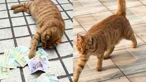 四川女拜財神後每天在家撿錢 真相終於大白（影片）