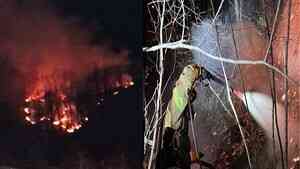 韓一架F-16C戰機撞山墜毀 飛行員彈射掛20米樹上逃生