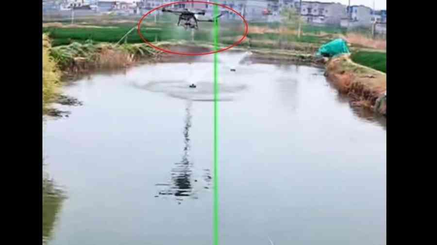 中共無人機「空投」農藥 毀掉萬斤魚塘（影片）