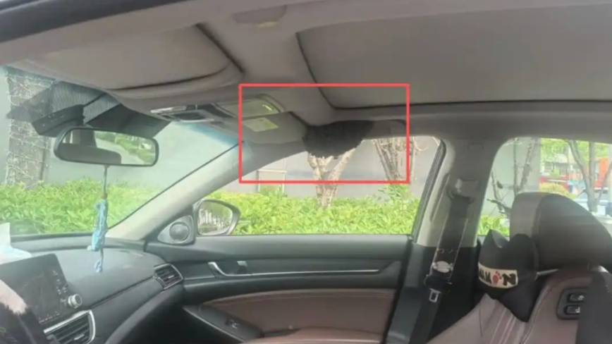 杭州男子忘關車窗 15分鐘後回來驚呆了