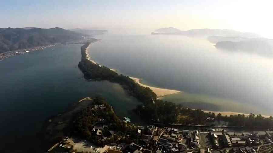 日本「天橋立」驚見黑熊海泳 穿越景區遭麻醉捕獲