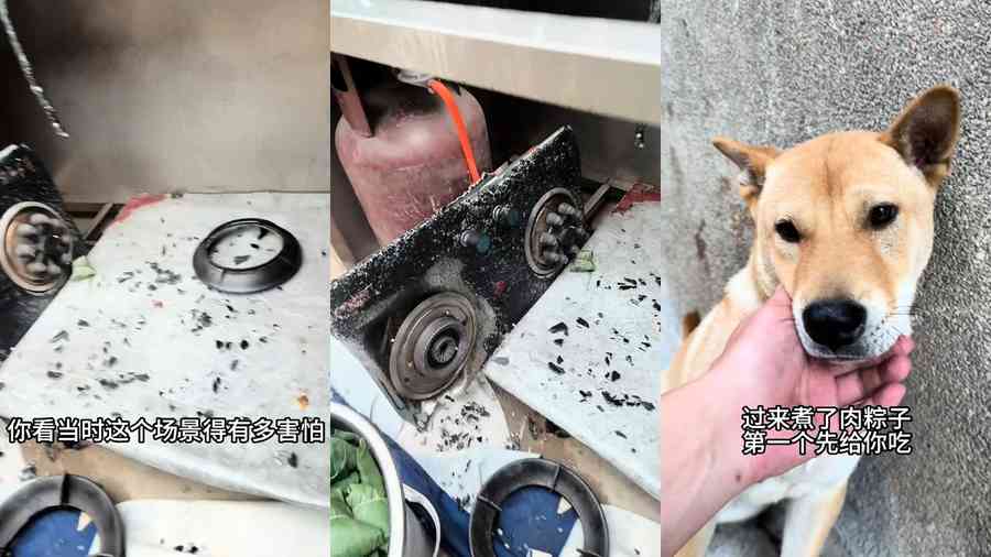 生死30秒！狗狗突然狂吠預言爆炸 救主人一命（影片）