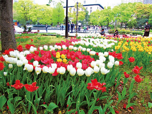 日比谷公園春光明媚 大紀元時報香港 獨立敢言的良心媒體 日比谷公園春光明媚 大紀元時報香港 獨立敢言的良心媒體