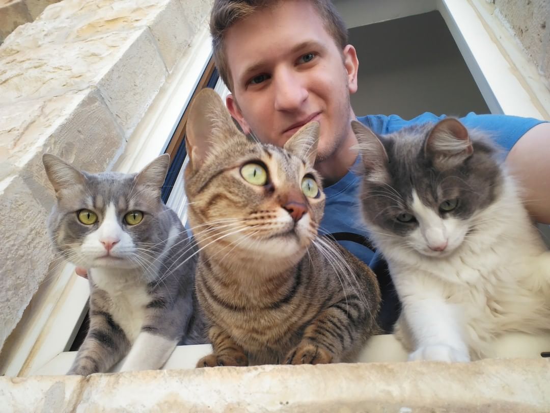 奧克斯曼和他拯救的三隻貓：奧馬利、瑪琪和邁克爾。（由Noam Oxman/@sympawnies/Sympawnies提供）