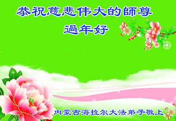 中國30省市法輪功學員共祝慈悲偉大的李洪志大師新年好！